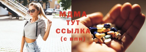 сатива Няндома
