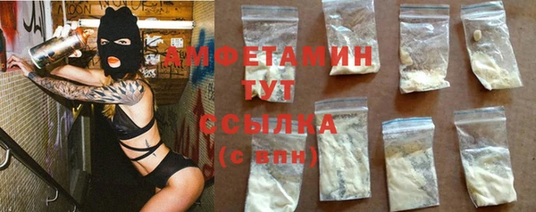 твердый Абаза